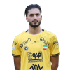 Player cutout