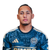 Player cutout