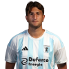 Player cutout