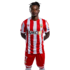 Player cutout