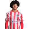 Player cutout