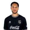 Player cutout