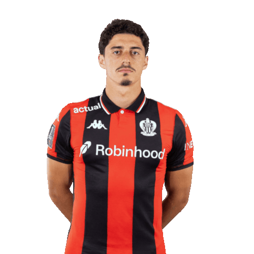 Tiago Antunes Gouveia