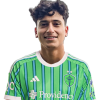 Player cutout