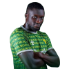 Player cutout