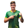 Player cutout