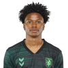 Player cutout