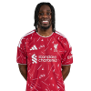Player cutout