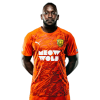 Player cutout
