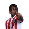 Player cutout