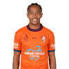 Player cutout