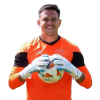 Player cutout