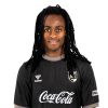 Player cutout