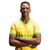 Player cutout