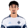 Player cutout