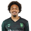 Player cutout