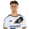 Player cutout