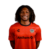 Player cutout