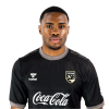 Player cutout