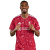 Player cutout