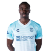 Player cutout
