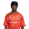 Player cutout