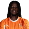 Player cutout