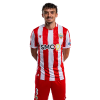 Player cutout