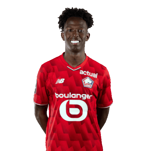 Félix Andrade Sanches Correia