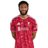 Player cutout