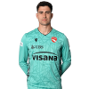 Player cutout