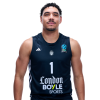 Player cutout
