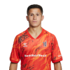 Player cutout
