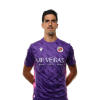 Player cutout
