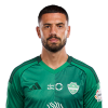 Player cutout