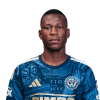 Player cutout