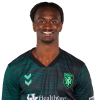 Player cutout