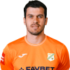 Player cutout