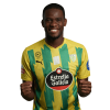 Player cutout