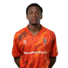 Player cutout
