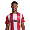 Player cutout