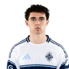 Player cutout