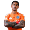 Player cutout