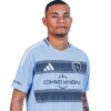 Player cutout