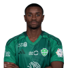 Player cutout