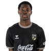 Player cutout