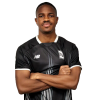 Player cutout