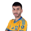 Player cutout