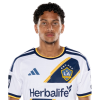 Player cutout