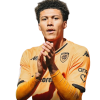 Player cutout
